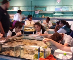 Kanadese studente besoek Gansbaai Academia